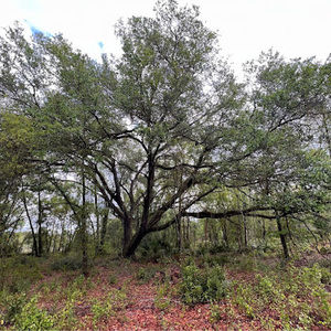 Meet your Posher, Blake